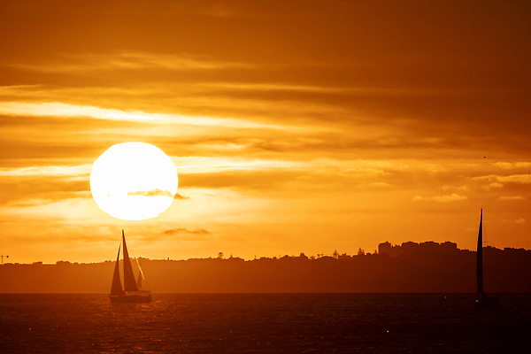 포토 JPG 해외이미지 라이프스타일 실루엣 파도 바다 컬러 여행 백그라운드 요트 오렌지 자연 하늘 휴가 항해 사람없음 야외 물 햇빛 태양 뷰티 반사 평화 일출 황혼 일몰 자유 보트 저녁 수평선 해외202310 해외포토 자연요소 컨셉 배_교통 과일 촬영기법 생활 노을 야간 생태계 파일형식