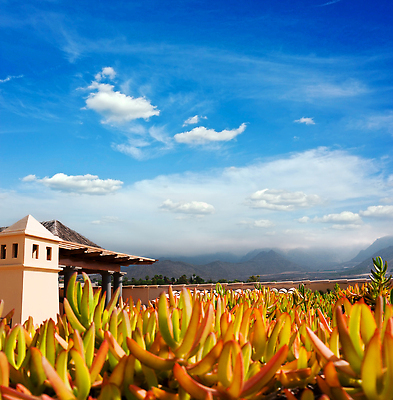 포토 JPG 해외이미지 유럽 바다 컬러 섬 여행 자연 하늘 호텔 휴가 산 손바닥 사람없음 야외 건물 물 파란색 빛 야자수 뷰티 여행객 항구 수영 황혼 일몰 뜨거움 스페인 지중해 휴양지 대서양 남유럽 해외202310 해외포토 자연요소 나무 건축물 손 나라 교통시설 숙소 사람 노을 장소 수상스포츠 생태계 파일형식