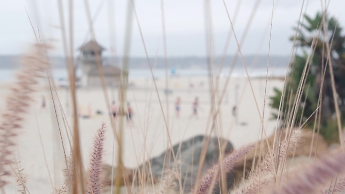 포토 JPG 해외이미지 모래 스포츠 바다 공 놀이 건강 서기 사람 취미 사람없음 뷰티 탑 미국 게임 그물 구출 역 놀이터 오두막 배구 손목시계 캘리포니아 태평양 법정 산티아고 안전요원 해외202310 해외포토 건축물 시계 북아메리카 장신구 교통시설 모션 구기 도움 파일형식