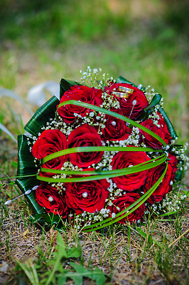 포토 JPG 해외이미지 식물 전통 여자 기념일 꽃잎 꽃 꽃다발 결혼 백그라운드 잎 꽃무늬 밭 신혼부부 자연 결혼식 휴가 발렌타인데이 선물 사랑 사람없음 빨간색 초록색 뷰티 장미 유행 정원 보라색 봄 기쁨 낭만 축하 그룹 우아함 닫기 달콤 다발 배열 약혼 캐모마일 해외202310 해외포토 부부 계절 감정 컬러 컨셉 무늬 농업 모션 데이이벤트 사람 이벤트 맛 허브 생태계 약속 신혼 파일형식