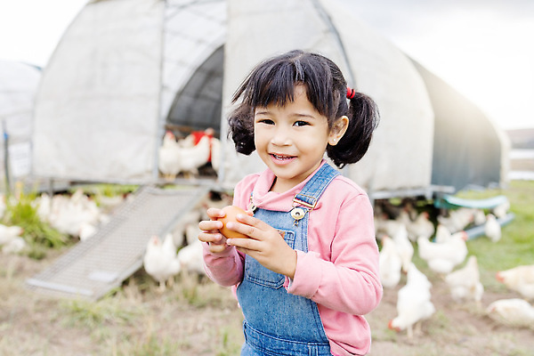 포토 JPG 해외이미지 주간 라이프스타일 여자 어린이 한명 들기 상반신 야외 앞모습 농장 계란 축산업 농부 소프트포커스 전원생활 양계장 소녀한명만 해외202310 해외포토 자연요소 직업 1 산업 뷰포인트 농업 모션 촬영기법 사람 생활 알 여자한명만 소녀만 파일형식