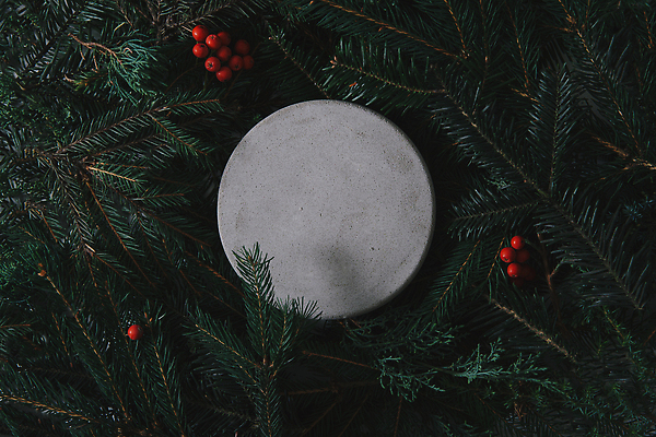 포토 JPG 해외이미지 열매 백그라운드 잎 겨울 사람없음 어둠 원형 분위기 전나무 해외포토 도형 나무 식물 계절 컨셉 파일형식