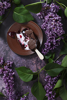 포토 JPG 해외이미지 접시 디자인 계절 열매 음식 백그라운드 과일 아이스크림 디저트 사탕 사람없음 빨간색 갈색 식당 초콜릿 냉동 얼음 어둠 봄 우유 추위 신선 달콤 맛 정상 민트 크림 메뉴 상쾌 아로마 산딸기 토핑 칼로리 라일락 고립 넘어짐 바닐라 셔벗 여의주 맛있는 해외202310 해외포토 자연요소 식물 식기 꽃 감정 컬러 컨셉 모션 유제품 상점 허브 파일형식