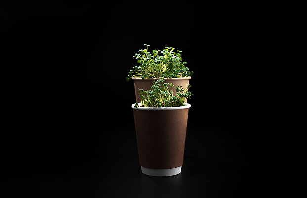 포토 JPG 해외이미지 식물 음식 분홍색 잎 농업 다이어트 채소 재료 자연 유리 건강 씨앗 사람없음 초록색 새싹 샐러드 수확 성장 신선 항아리 양념 냄비 낟알 허브 유기농 원예 날것 건강식 내추럴 모종 바이오 바이탈 채식주의자 총각무 총쏘기 슈퍼푸드 비건 해외202310 해외포토 웰빙 산업 컬러 모션 재질 취미 도자기 솥 무 생태계 채식 건강식품 파일형식