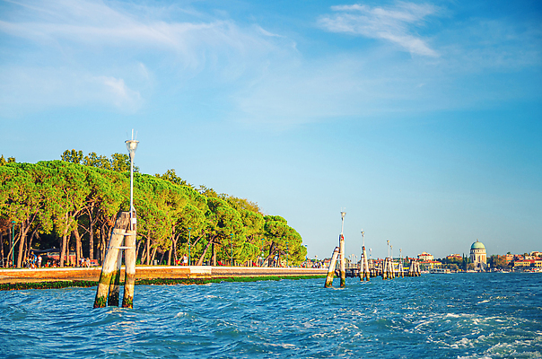 포토 JPG 해외이미지 나무 외관 공원 유럽 섬 여행 백그라운드 건축양식 주택 풍경 사람없음 건물 목재 초록색 물 도시풍경 항구 이탈리아 산책로 낭만 도시 센터 중세 역사 수로 장면 베네치아 봉 타운 석호 랜드마크 옛날 해외202310 해외포토 자연요소 식물 건축물 공공시설 건축 나라 길 컬러 컨셉 재료 교통시설 파일형식