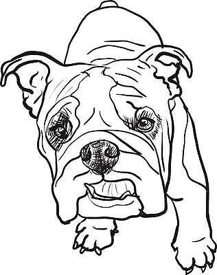 EPS 해외이미지 동물 영어 별 얼굴 백그라운드 일러스트 포유류 반려동물 갈색 흰색 주름 개 강아지 스케치 그림 황소 불독 송곳니 고립 기르기 벡터 순혈 해외202310 해외일러스트 자연요소 문자 컬러 미술 신체부위 소 치아 돌봄 파일형식