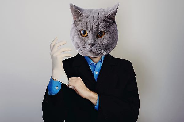 포토 JPG 해외이미지 직업 1 드레스 남자 장갑 백그라운드 컨셉 비즈니스 사업가 성공 건강 병원 한명 사람 정장 성인 파란색 약 고양이 회색 환자 의사 업무 자신감 수술 보호 씻기 연습 준비 컨설턴트 모음 외과 돌봄 환각 스타일 놓기 해외202310 해외포토 잡화 옷 감정 컬러 포유류 의학 모션 한글 치료 반려동물 청결 의료진 작업 전문직 상담 증상 파일형식