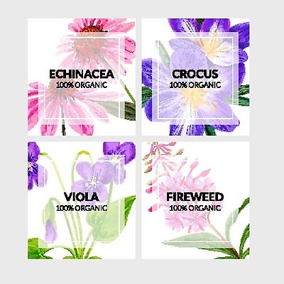 EPS 해외이미지 식물 템플릿 디자인 배너 꽃 분홍색 백그라운드 꽃무늬 일러스트 라벨 세일 보라색 신용카드 가격 그림 에코 유기농 레이아웃 손그림 내추럴 비올라 벡터 해외202310 해외일러스트 웰빙 컬러 무늬 프레임 금융 환경 파일형식 찰현악기