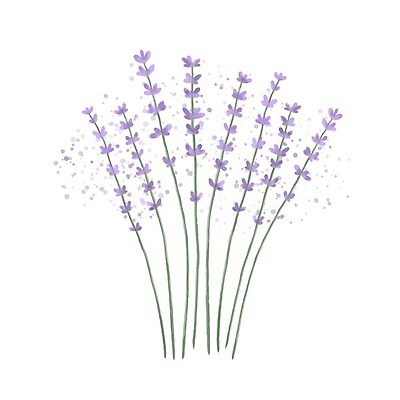 EPS 해외이미지 식물 손 디자인 꽃 꽃다발 잎 꽃무늬 일러스트 자연 수채화 건강 미술 장식 초록색 여름 뷰티 라벨 정원 보라색 봄 수확 벚꽃 신선 다발 허브 제비꽃 향수 유기농 복고 아로마 아로마테라피 라벤더 라일락 내추럴 고립 엘리먼트 프로방스 벡터 해외202310 해외일러스트 웰빙 계절 컬러 무늬 농업 문화예술 프레임 신체부위 화장품 생태계 테라피 파일형식