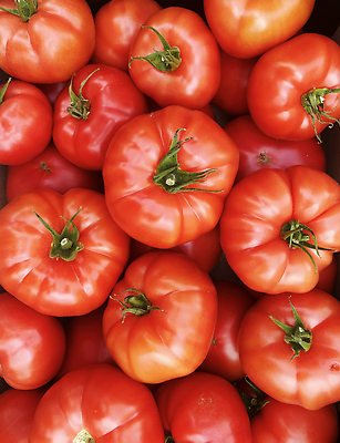 포토 JPG 해외이미지 음식 백그라운드 농업 다이어트 토마토 채소 오렌지 과일 재료 자연 건강 종류 비프스테이크 씨앗 사람없음 목재 빨간색 초록색 여름 상자 컬러풀 농장 노란색 정원 수확 가을 신선 체리 시장 맛 농부 유기농 원예 날것 포도나무 내추럴 밭일 숙성 채식주의자 많음 비건 해외202310 해외포토 나무 식물 직업 웰빙 계절 산업 컬러 컨셉 스테이크 취미 소고기 과일나무 생태계 채식 파일형식