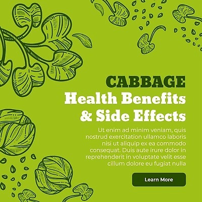 EPS 해외이미지 잎 일러스트 씨앗 사람없음 초록색 스케치 양배추 드로잉 해외202310 해외일러스트 식물 컬러 채소 미술 파일형식 벡터