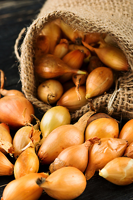 포토 JPG 해외이미지 식물 문화 음식 백그라운드 농업 채소 가방 자연 탁자 양파 건강 씨앗 사람없음 목재 갈색 노란색 어둠 황금 작음 피부 유기농 날것 샬롯 해외202310 해외포토 나무 웰빙 잡화 산업 컬러 가구 재료 신체부위 크기 생태계 파일형식