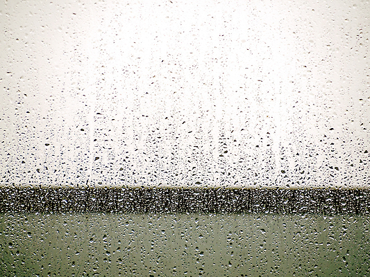 포토 JPG 해외이미지 디자인 계절 컬러 컨셉 잎 패턴 밭 벽지 하늘 표면 주택 건조 사람없음 빛 컬러풀 햇빛 반사 환경 흐름 흰색 물방울 투명 닫기 매끈함 소프트포커스 질감 보케 광택 10월 블러 샤워실 많음 효과 해외202310 해외포토 식물 무늬 농업 모션 촬영기법 건물 태양 감각 날짜 샤워시설 파일형식