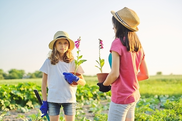 포토 JPG 해외이미지 식물 백인 라이프스타일 손 꽃 행복 화분 어린이 장갑 2 자연 사람 소녀 취미 야외 두명 여름 뷰티 정원 흙 봄 성장 벚꽃 공구 시골 잡기 업무 개화 냄비 삽 원예 먼지 돌봄 땅바닥 심기 원예사 해외202310 해외포토 서양인 직업 잡화 계절 여자 감정 모션 바닥 생활 신체부위 도구 작업 솥 생태계 파일형식