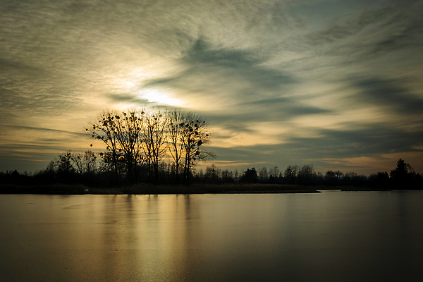 포토 JPG 해외이미지 나무 구름 계절 실루엣 호수 백그라운드 겨울 자연 하늘 날씨 풍경 사람없음 야외 가로 물 빛 햇빛 태양 반사 냉동 얼음 황혼 일몰 새벽 추위 전원 저녁 크리스탈 서리 수평선 해외202310 해외포토 자연요소 식물 촬영기법 노을 전기에너지 야간 광석 생태계 파일형식