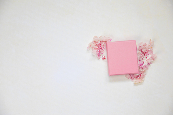 포토 JPG 해외이미지 디자인 기념일 행복 리본 종이 분홍색 컬러 결혼 백그라운드 컨셉 크리스마스 포장 엄마 휴가 새로움 발렌타인데이 선물 사랑 이벤트 사람없음 장식 선물상자 상자 뷰티 유행 축제 놀람 공백 낭만 흰색 축하 인사 신용카드 생일 정상 연도 오브젝트 활 꽃가루 패키지 항공촬영 파스텔톤 플랫레이 카피스페이스 미니멀 해외202310 해외포토 감정 뷰포인트 가족 데이이벤트 표정 금융 예절 플랫 가루 파일형식