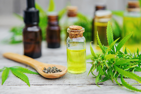 포토 JPG 해외이미지 백그라운드 자연 사람없음 아웃포커스 뷰티 신선 풀잎 오일 내추럴 해외202310 해외포토 음식 잎 촬영기법 화장품 풀_식물 생태계 파일형식