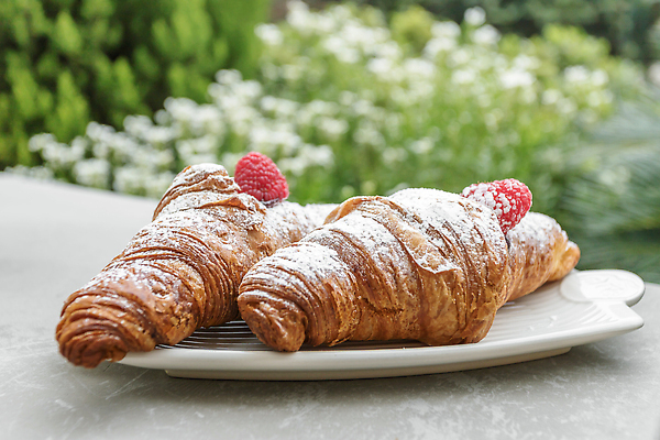 포토 JPG 해외이미지 전통 라이프스타일 열매 음식 백그라운드 2 재료 가족 호텔 아침 디저트 쟁반 샌드위치 요리 사람없음 빨간색 초록색 우주 식당 보라색 카페 빵집 낭만 신선 황금 달콤 맛 아침식사 잼 지중해 먹기 민트 제비꽃 유기농 산딸기 비타민 프랑스어 마멀레이드 페스츄리 핸드메이드 맛있는 해외202310 해외포토 주간 식물 문자 웰빙 꽃 빵 바다 컬러 컨셉 과일 관계 모션 숙소 생활 상점 식사 소스_음식 허브 영양소 파일형식