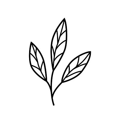 EPS 해외이미지 식물 디자인 실루엣 선 결혼 백그라운드 잎 꽃무늬 일러스트 자연 추상 미술 그래픽 장식 세트 뷰티 정원 검은색 봄 낭만 수확 벚꽃 나뭇가지 화려 낙서 스케치 수집 그림 심플 손그림 내추럴 엘리먼트 스타일 벡터 해외202310 해외일러스트 나무 계절 꽃 컬러 컨셉 무늬 농업 문화예술 촬영기법 이벤트 생태계 파일형식