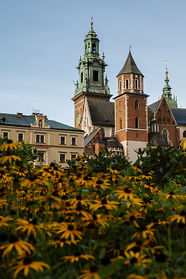 포토 JPG 해외이미지 외관 공원 꽃 유럽 종교 여행 건축양식 하늘 주택 풍경 사람없음 야외 건물 초록색 여름 컬러풀 햇빛 뷰티 성당 교회 여행객 탑 정원 봄 궁전 도시 중세 역사 박물관 광택 타운 폴란드 천연기념물 고딕 랜드마크 르네상스 안뜰 옛날 크라쿠프 해외202310 해외포토 식물 건축물 계절 공공시설 건축 나라 컬러 고건축 종교건축 사람 태양 파일형식
