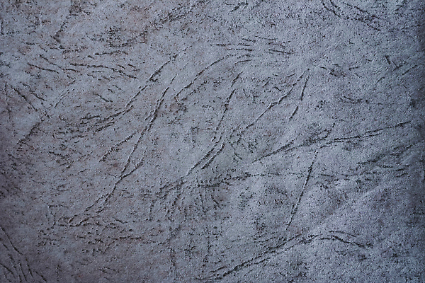 포토 JPG 해외이미지 디자인 포스터 종이 벽 컬러 백그라운드 패턴 벽지 표면 추상 미술 사람없음 장식 가로 우주 공백 회색 수확 골동품 시골 점 신용카드 거친 주름 천 고민 질감 복고 캔버스 페이지 시트 판지 구김 구식 그런지 옛날 원고 카피스페이스 효과 비어있는 해외202310 해외포토 감정 무늬 농업 모션 문화예술 금융 직물 파일형식