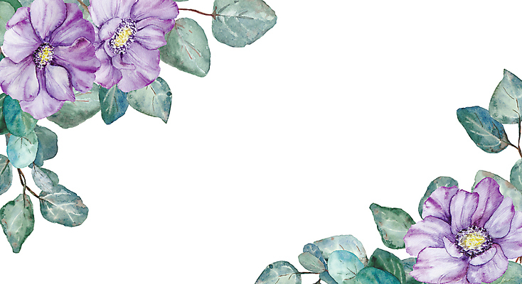JPG 해외이미지 잎 일러스트 프레임 사람없음 장식 보라색 우아함 아네모네 엘리먼트 카피스페이스 해외202310 해외일러스트 식물 꽃 컬러 컨셉 공백 파일형식