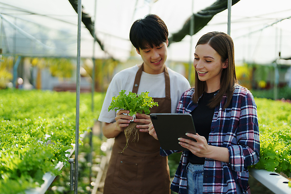 포토 JPG 해외이미지 손 산업 채소 비즈니스 사업가 가족 성공 기술 한명 미소 사람 성인 두명 초록색 노트북 학습 농가 농장 세일 바구니 정원 기쁨 샐러드 수확 성장 신선 잡기 작업 농부 상추 과학자 유기농 원예 생물학 비타민 주인 돌봄 마케팅 온실 제어 중소기업 해외202310 해외포토 직업 1 웰빙 교육 감정 음식 컬러 과학 컨셉 농업 회사 관계 모션 표정 취미 신체부위 전자제품 영양소 학자 파일형식