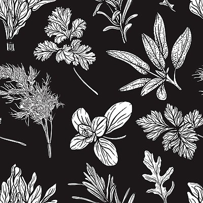 EPS 해외이미지 식물 템플릿 줄기 백그라운드 잎 패턴 채소 일러스트 재료 흑백 파슬리 요리 주방 봄 이탈리아 나뭇가지 양념 맛 약초 낙서 스케치 지중해 민트 허브 그리스 향신료 유기농 질감 아로마 손그림 바질 로즈메리 프랑스어 딜 루꼴라 모종 백리향 오레가노 프로방스 벡터 스피아민트 해외202310 해외일러스트 나무 문자 웰빙 계절 유럽 바다 컨셉 무늬 촬영기법 미술 풀_식물 향미료 파일형식