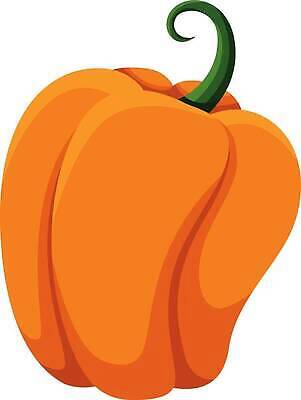 EPS 해외이미지 배너 실루엣 음식 백그라운드 일러스트 부분 호박 추상 프레임 그래픽 장식 노란색 쌓기 할로윈 수확 가을 흰색 플랫 모서리 만화 심볼 그림 심플 윤곽 박 추수감사절 스쿼시 고립 벡터 국경 해외202310 해외일러스트 계절 기독교 스포츠 컬러 무늬 농업 채소 모션 촬영기법 구기 파일형식