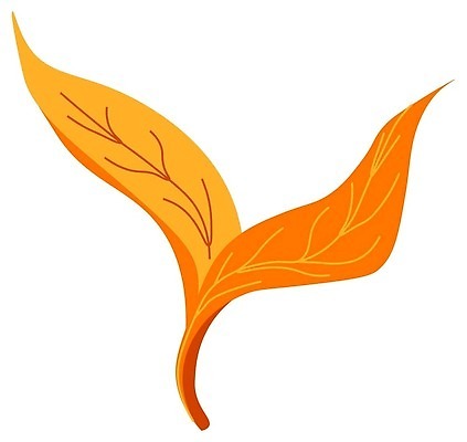 EPS 해외이미지 나무 식물 디자인 계절 꽃 잎 꽃무늬 일러스트 자연 추상 장식 유행 봄 벚꽃 나뭇가지 원형 화려 황금 인쇄 꽃집 묘사 유기농 질감 심플 내추럴 고립 구성 생태학 소셜 엘리먼트 이국적 스타일 벡터 미니멀리스트 미니멀 해외202310 해외일러스트 도형 웰빙 교육 컨셉 무늬 상점 생태계 파일형식