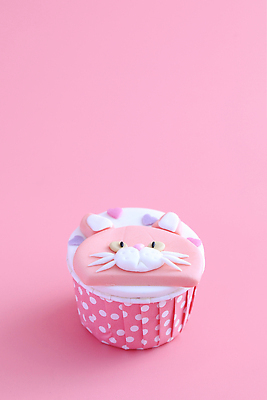 포토 JPG 해외이미지 사람없음 장식 한개 고양이 달콤 컵케이크 카피스페이스 분홍색배경 해외202310 해외포토 1 분홍색 백그라운드 포유류 반려동물 케이크 공백 맛 파일형식