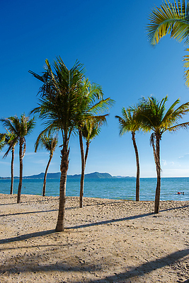 포토 JPG 해외이미지 나무 커플 아시아 음식 모래 바다 컬러 여행 의자 파타야 태국 자연 탁자 하늘 호텔 휴가 휴식 손바닥 동양인 사람없음 야외 초록색 물 여름 파란색 햇빛 태양 뷰티 흰색 휴양지 코코넛 이국적 파라다이스 해외202310 해외포토 자연요소 식물 손 계절 나라 가구 컨셉 과일 관계 숙소 인종 장소 생태계 파일형식