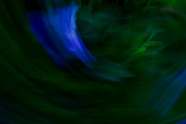 포토 JPG 해외이미지 모양 디자인 포스터 파도 컬러 백그라운드 패턴 곡선 일러스트 비즈니스 벽지 표면 추상 미래 나선형 미술 경사 사람없음 그래픽 장식 초록색 파란색 빛 컬러풀 반사 유행 우주 덮개 소용돌이 신용카드 화려 우아함 클럽 질감 웨이브 공상 기하학 구김 블러 잔물결 접기 환각 스타일 효과 해외202310 해외일러스트 물결 선 바다 컨셉 무늬 모션 문화예술 금융 뚜껑 회오리 증상 파일형식