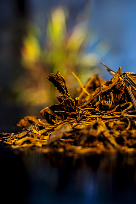 포토 JPG 해외이미지 컬러 따뜻함 건강 사람없음 치료 어둠 손상 고통 견과류 얼룩 호흡기관 호흡 계획 질병 그늘 허브 날것 산소 알레르기 깊이 천식 해외202310 해외포토 식물 감정 컨셉 의학 장기_의학 원소 파일형식