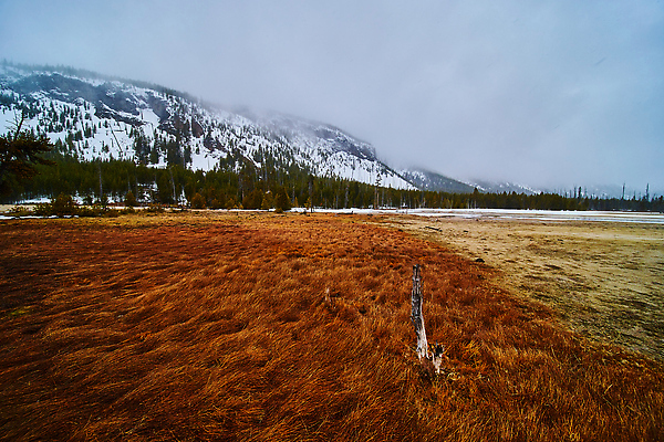 포토 JPG 해외이미지 나무 공원 여행 겨울 밭 농업 오렌지 하늘 산 국립공원 잔디 사람없음 야외 초록색 강 태양 환경 시골 숲 땅 나무껍질 산악지대 와이오밍 수평선 해외202310 해외포토 자연요소 식물 계절 공공시설 산업 컬러 과일 껍질 파일형식