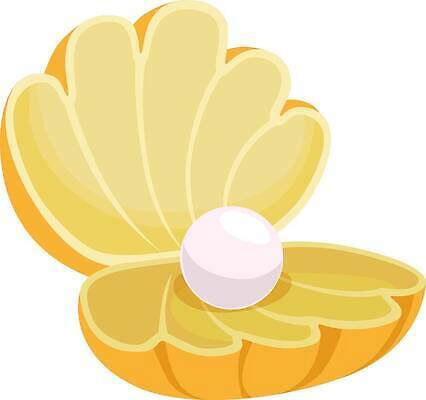 EPS 해외이미지 모양 디자인 음식 바다 일러스트 조개 선물 미술 그래픽 물 빛 반사 수중 펼침 껍질 오픈 고급 우아함 보석 만화 그림 클립 보물 고립 엘리먼트 활자 벡터 해외202310 해외일러스트 자연요소 컨셉 모션 문화예술 어패류 광석 활자판 파일형식