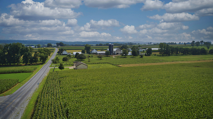 포토 JPG 해외이미지 식물 지구 음식 백그라운드 패턴 밭 농업 자연 안테나 옥수수 풍경 사람없음 야외 초록색 여름 농작물 농장 농경지 노란색 환경 농사 봄 수확 성장 시골 땅 밀 만취 유기농 내추럴 항공촬영 드론 밭일 조감도 수평선 세련 해외202310 해외포토 웰빙 계절 산업 뷰포인트 컬러 무늬 통신 곡류 생태계 술취함 파일형식