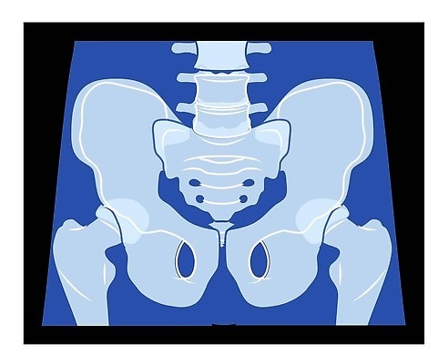 EPS 해외이미지 여자 남자 실루엣 백그라운드 컨셉 신체 일러스트 해부 추상 뼈 골격 엑스레이 건강 병원 사람 약 3D 디지털 고통 의사 플랫 엉덩이 심볼 척추 시스템 외과 테라피 허벅지 방사선 염증 정형외과 벡터 해외202310 해외일러스트 감정 무늬 의학 촬영기법 신체부위 뷰티 의료진 질병 디지털합성 파일형식 직업