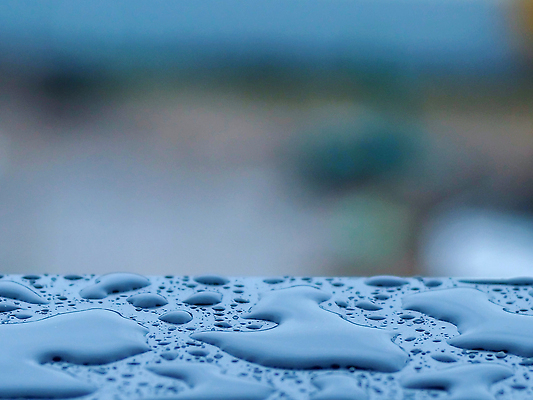 포토 JPG 해외이미지 디자인 컬러 과학 잎 패턴 자연 유리 벽지 표면 날씨 추상 휴식 세포 미술 사람없음 초록색 물 파란색 컬러풀 반사 환경 목욕 젖음 성장 물방울 신선 원형 투명 액체 떨어짐 매끈함 이슬 시원함 순수 질감 보케 화학물질 해외202310 해외포토 자연요소 도형 식물 컨셉 무늬 재질 문화예술 청결 감각 화학 생태계 파일형식