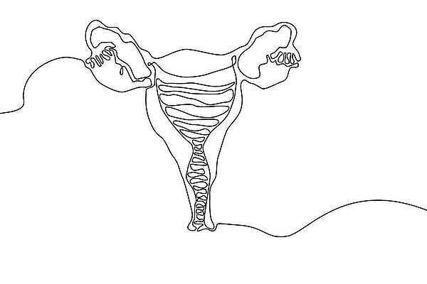 EPS 해외이미지 1 손 디자인 실루엣 선 백그라운드 컨셉 라인일러스트 일러스트 해부 추상 아이디어 건강 미술 사람 내부 픽토그램 약 유행 건강관리 검은색 흰색 오르간 플랫 낙서 질병 만화 스케치 싱글 그림 생물학 심플 윤곽 자궁 벡터 반복 미니멀리스트 이론 해외202310 해외일러스트 교육 컬러 무늬 의학 문화예술 촬영기법 관리 신체부위 장기_의학 건반악기 파일형식