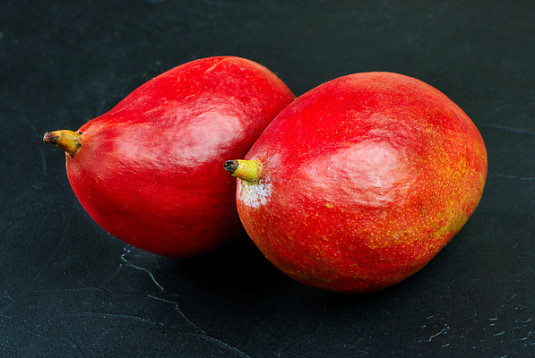 포토 JPG 해외이미지 식물 1 길 음식 백그라운드 잎 다이어트 과일 부분 자연 디저트 귤 건강 요리 사람없음 빨간색 초록색 노란색 신선 최고 달콤 맛 자르기 먹기 오브젝트 싱글 상쾌 유기농 날것 아로마 망고 성분 내추럴 숙성 이국적 채식주의자 콘크리트 해외202310 해외포토 웰빙 감정 컬러 컨셉 모션 열대과일 생태계 채식 파일형식