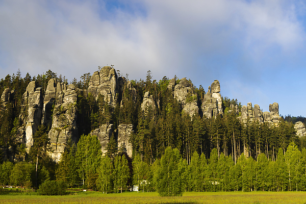 포토 JPG 해외이미지 나무 공원 유럽 여행 백그라운드 자연 하늘 휴가 산 풍경 사람없음 야외 초록색 여름 환경 바위 숲 언덕 암초 체코 사암 내추럴 공화국 랜드마크 보헤미아 지질학 해외202310 해외포토 식물 계절 공공시설 교육 나라 컬러 돌_바위 생태계 파일형식