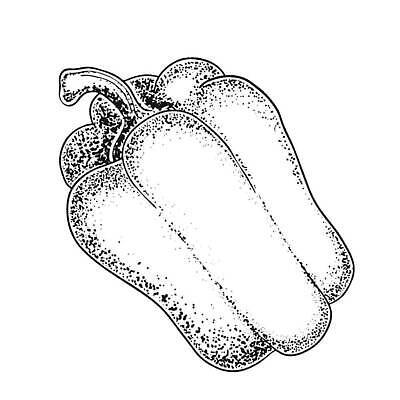 EPS 해외이미지 식물 손 디자인 실루엣 조각 백그라운드 채소 과일 일러스트 재료 자연 파프리카 흑백 건강 요리 미술 그래픽 주방 수확 종 흰색 신선 뜨거움 만화 스케치 심볼 향신료 오브젝트 흰배경 그림 유기농 매움 복고 손그림 후추 내추럴 고립 그런지 숙성 할라피뇨 벡터 비건 해외202310 해외일러스트 웰빙 컬러 농업 고추 문화예술 촬영기법 신체부위 맛 생태계 채식주의자 향미료 파일형식