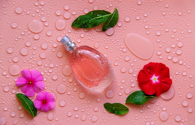 포토 JPG 해외이미지 꽃 분홍색 백그라운드 자연 사람없음 아웃포커스 뷰티 신선 오일 수분 내추럴 해외202310 해외포토 식물 음식 컬러 촬영기법 화장품 생태계 파일형식