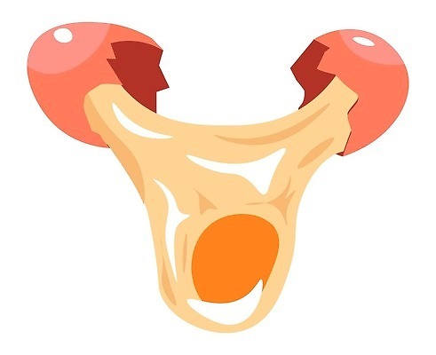 EPS 해외이미지 동물 디자인 음식 다이어트 일러스트 재료 부분 자연 조류 건강 요리 농장 노란색 계란 치킨 손상 껍질 신선 균열 맛 아침식사 상품 먹기 준비 유기농 날것 노른자 내추럴 고립 깨짐 단백질 생식 취급주의 벡터 현실 맛있는 해외202310 해외일러스트 웰빙 컬러 컨셉 농업 모션 경고 알 식사 생태계 닭고기요리 영양소 파일형식 산업
