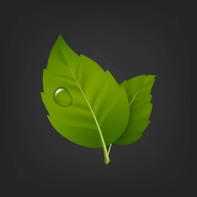 EPS 해외이미지 클립아트 나무 템플릿 디자인 배너 계절 꽃 컬러 백그라운드 잎 일러스트 초록색 여름 세트 봄 벚꽃 물방울 신선 쌍 닫기 심볼 에코 만들기 자연백그라운드 내추럴 생태학 벡터 현실 해외202310 해외일러스트 식물 교육 모션 자연 환경 파일형식