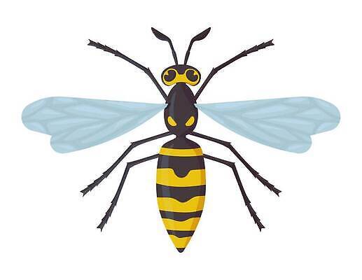 EPS 해외이미지 클립아트 동물 계절 야생동물 컬러 곤충 일러스트 자연 안테나 미술 그래픽 노란색 검은색 줄무늬 플랫 해충 벌레 꿀벌 말벌 위험 작음 만화 사인 그림 육식동물 꿀 찌르기 토막 벌집 알레르기 고립 마스코트 엘리먼트 호박벌 벡터 디테일 해외202310 해외일러스트 컨셉 무늬 통신 모션 문화예술 벌_곤충 질병 크기 생태계 파일형식