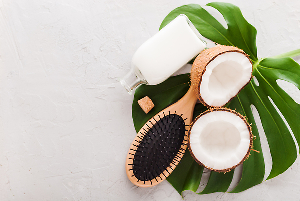 포토 JPG 해외이미지 단면 유리병 사람없음 뷰티 머리빗 코코넛 코르크 몬스테라 코코넛오일 콘크리트 카피스페이스 해외202310 해외포토 식물 과일 병_용기 공백 미용용품 오일_음식 파일형식