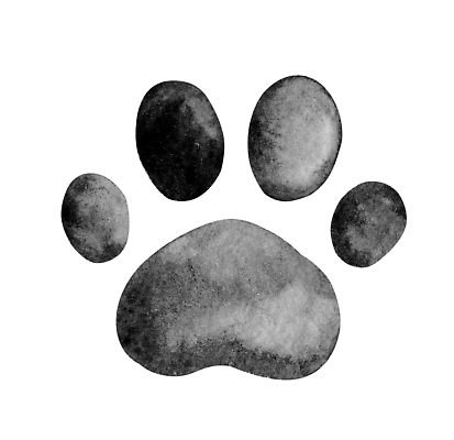 포토 JPG 해외이미지 모양 동물 실루엣 야생동물 백그라운드 일러스트 포유류 자국 발 자연 추상 흑백 사람없음 그래픽 친구 반려동물 검은색 고양이 우정 산책 흰색 호랑이 개 강아지 인쇄 사자 발자국 오브젝트 사인 그림 사냥 손그림 발가락 우표 늑대 단계 수의사 고립 선로 양발 자취 스라소니 해외202310 해외일러스트 컬러 무늬 관계 휴식 촬영기법 신체부위 의사 생태계 파일형식