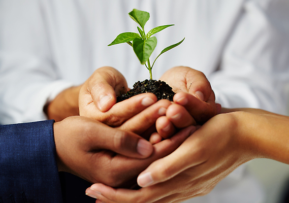 포토 JPG 해외이미지 손 들기 근접촬영 신체부위 새싹 자연보호 희망 흙 성장 손모으기 해외202310 해외포토 식물 감정 뷰포인트 모션 자연 사람 손짓 보호 파일형식